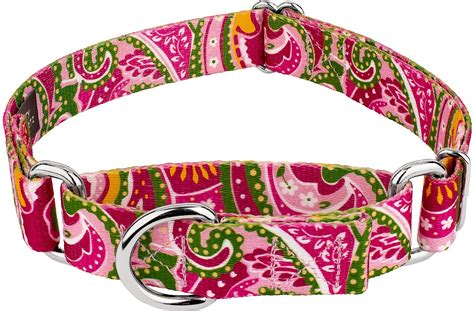 country brook design dog collars|More.